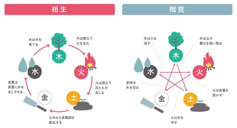 陽木 陰木 風水|陰陽五行説でひもとく風水。「気」のバランスを整え。